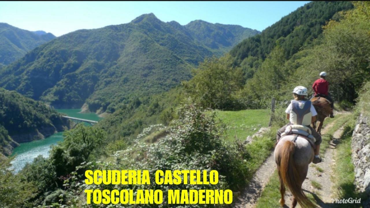 Dream Apartment Toscolano Maderno Buitenkant foto